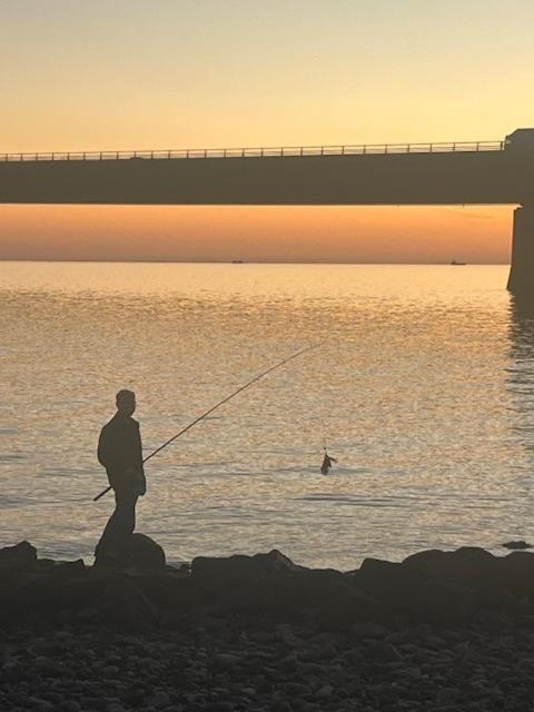 Storebaelt Camping Korsør Zewnętrze zdjęcie